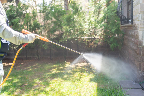 Best Seasonal Pest Control (e.g., summer mosquitoes, winter rodents)  in Alexandria, LA